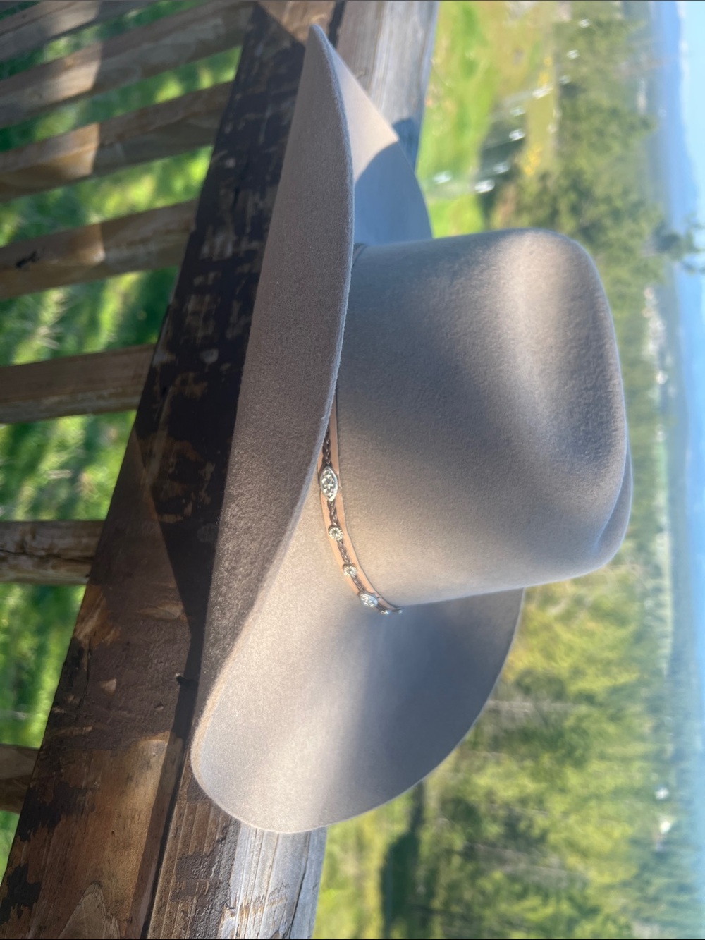 Cody James Neutral Wide-Brim Felt Hat with Decorative Band